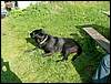 080615_PICT0007.JPG