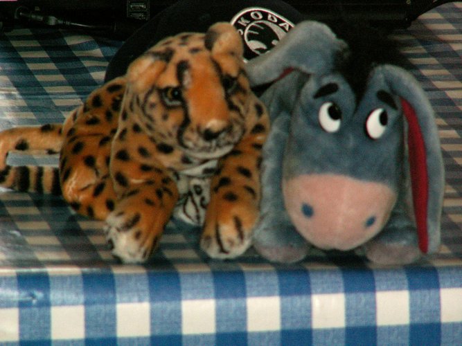 080608_PICT0031.JPG
