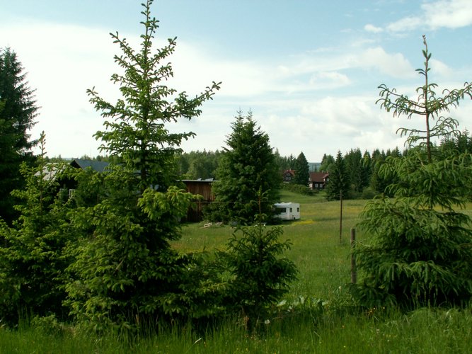 080608_PICT0042.JPG