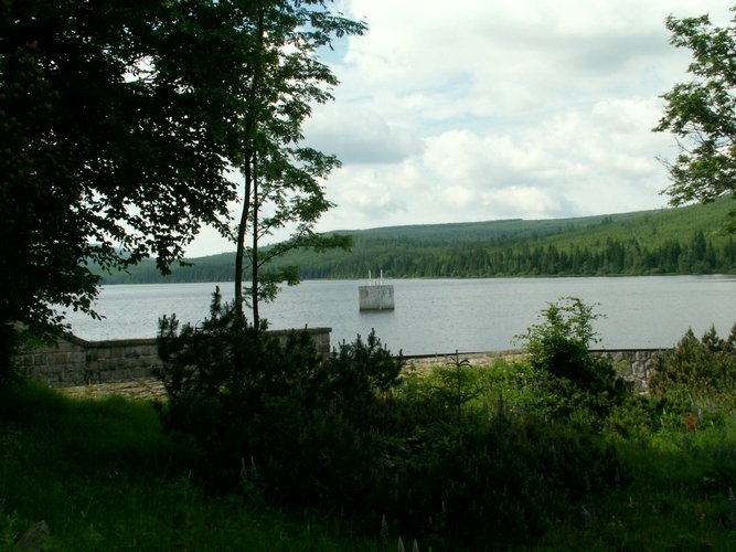 080608_PICT0052.JPG