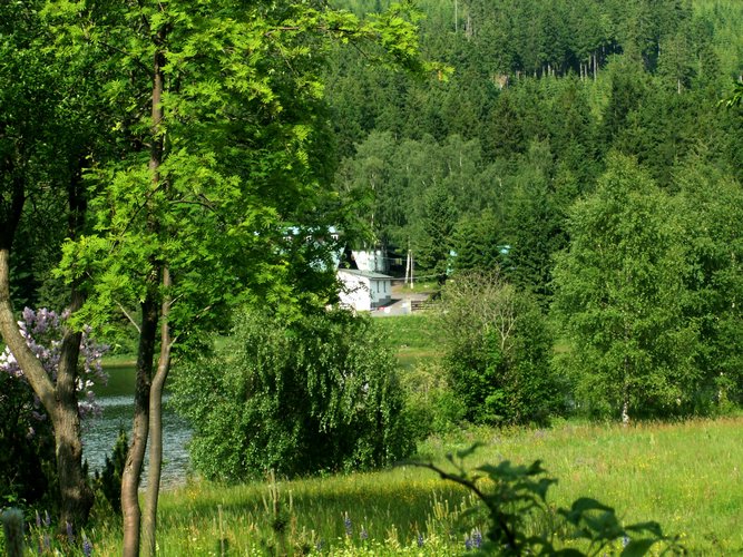 080608_PICT0053.JPG