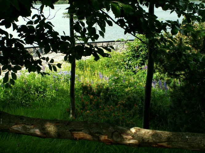 080608_PICT0054.JPG