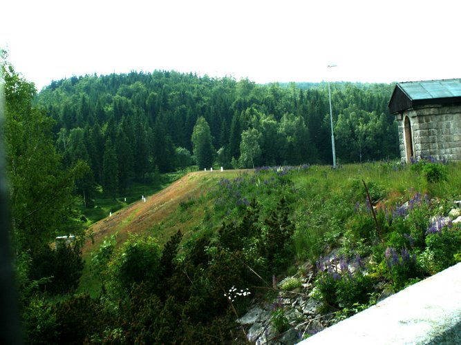 080608_PICT0061.JPG