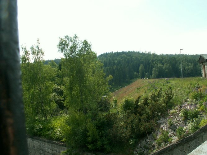 080608_PICT0064.JPG