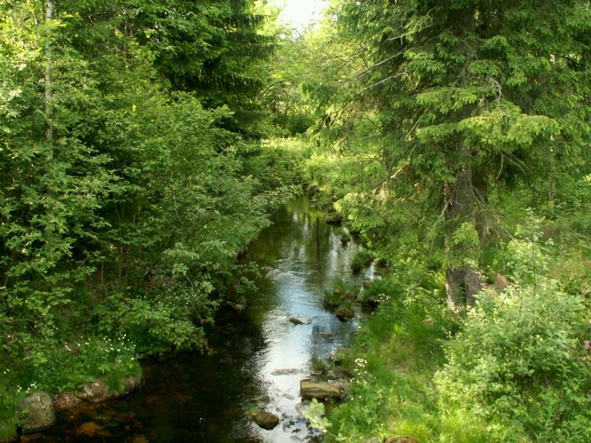 080608_PICT0073.JPG