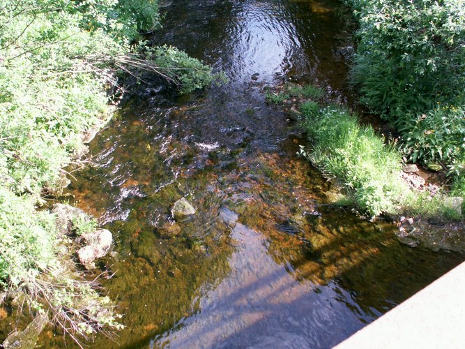 080608_PICT0074.JPG