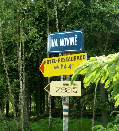 080608_PICT0081.JPG