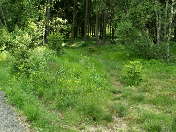 080608_PICT0082.JPG