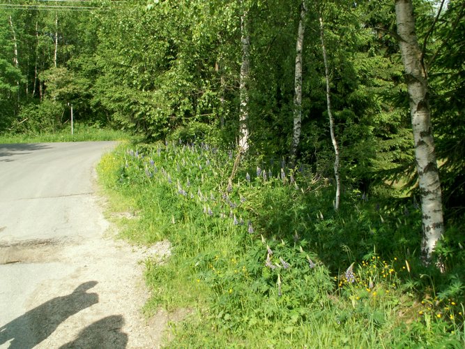080608_PICT0086.JPG