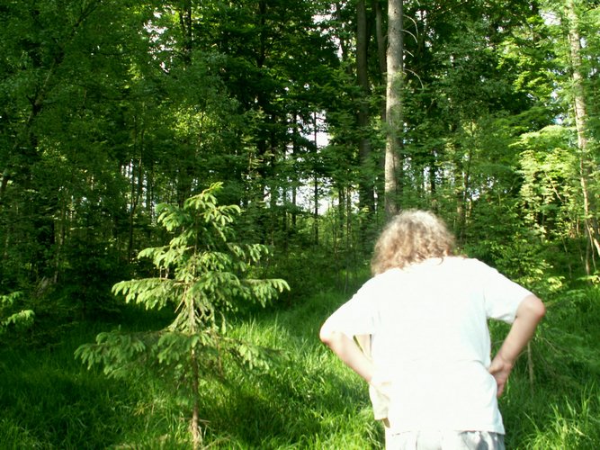 080608_PICT0096.JPG