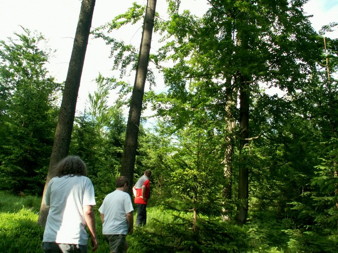 080608_PICT0098.JPG
