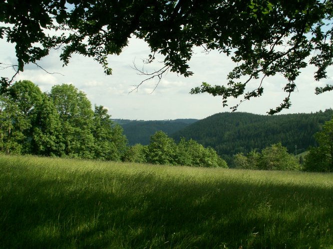 080608_PICT0099.JPG