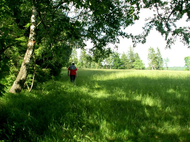 080608_PICT0100.JPG