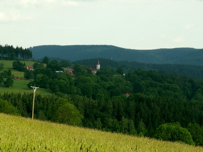 080608_PICT0101.JPG