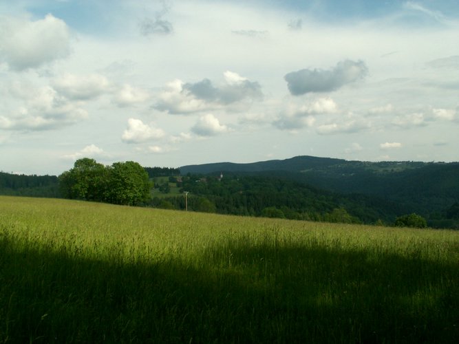 080608_PICT0102.JPG