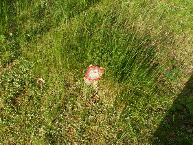 080608_PICT0112.JPG