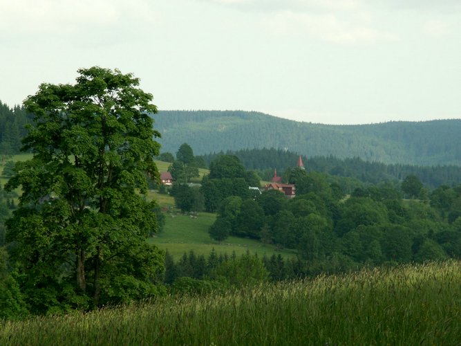 080608_PICT0114.JPG