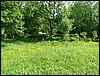 080608_PICT0041.JPG