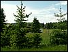 080608_PICT0042.JPG