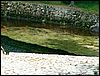 080608_PICT0057.JPG