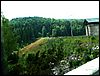 080608_PICT0061.JPG
