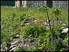 080608_PICT0066.JPG