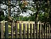 080608_PICT0067.JPG