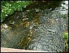 080608_PICT0072.JPG