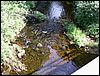 080608_PICT0074.JPG