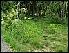 080608_PICT0082.JPG