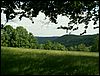 080608_PICT0099.JPG