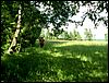 080608_PICT0100.JPG
