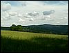 080608_PICT0102.JPG
