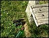 080608_PICT0103.JPG