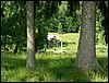 080608_PICT0104.JPG