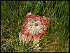 080608_PICT0113.JPG