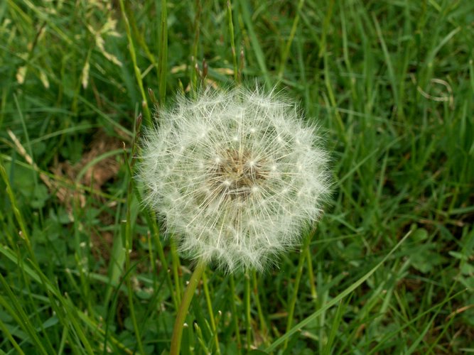 080609_PICT0012.JPG