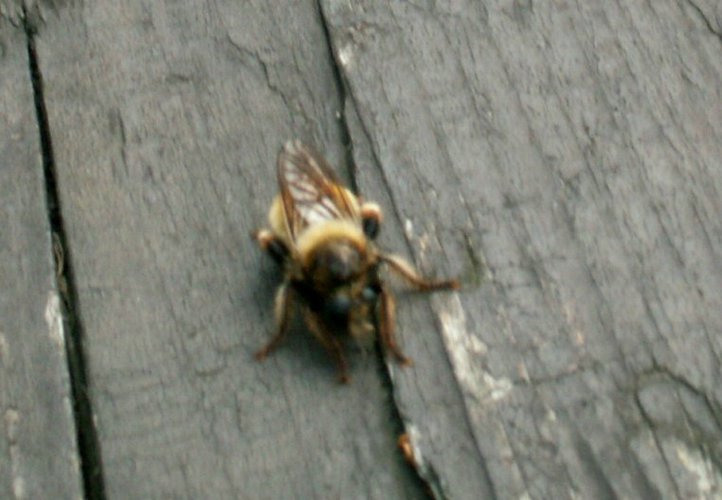 080609_PICT0013.JPG
