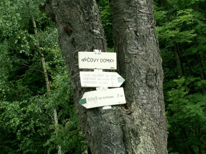080609_PICT0019.JPG