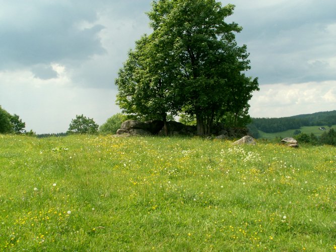 080609_PICT0020.JPG