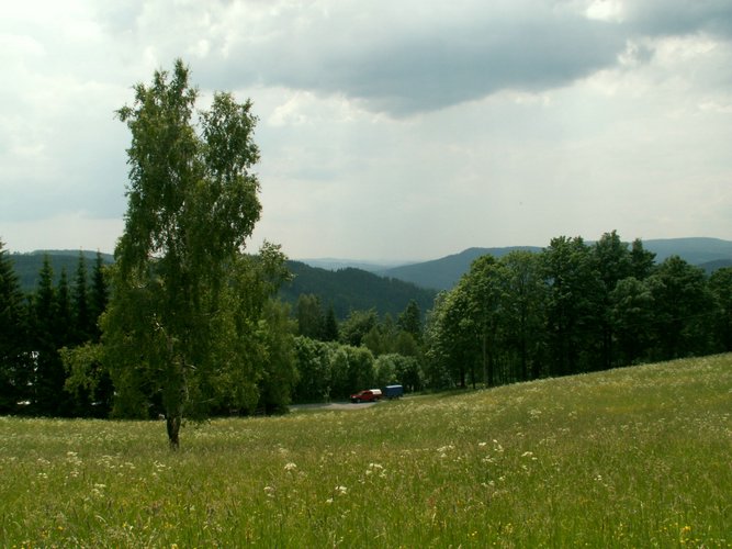 080609_PICT0027.JPG