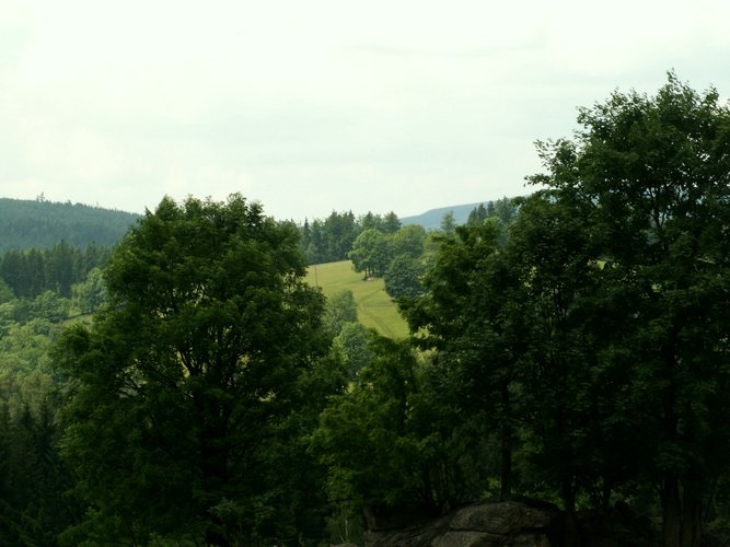 080609_PICT0043.JPG