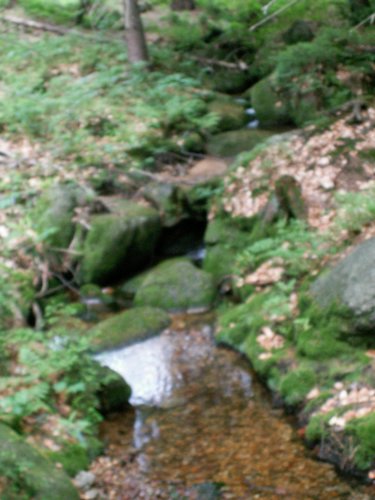 080609_PICT0046.JPG