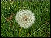 080609_PICT0012.JPG
