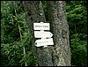 080609_PICT0019.JPG