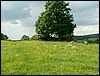 080609_PICT0020.JPG