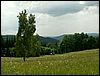 080609_PICT0027.JPG