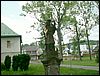 080609_PICT0035.JPG