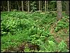 080609_PICT0047.JPG
