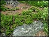 080609_PICT0048.JPG